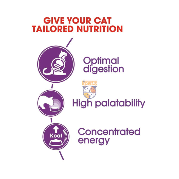 غذای خشک گربه بالغ سنسیبل Sensible رویال کنین 2 کیلوگرم