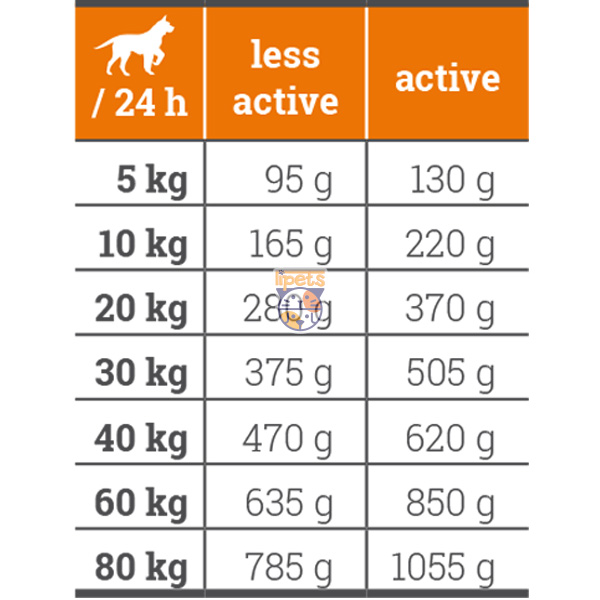 غذای خشک سگ نژاد کوچک و بزرگ باوارو سالید 1 کیلوگرم