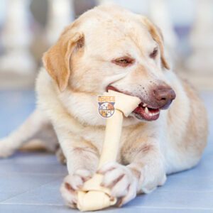 تشویقی سگ استخوان فلورایدی دو سر گره 30 سانتی