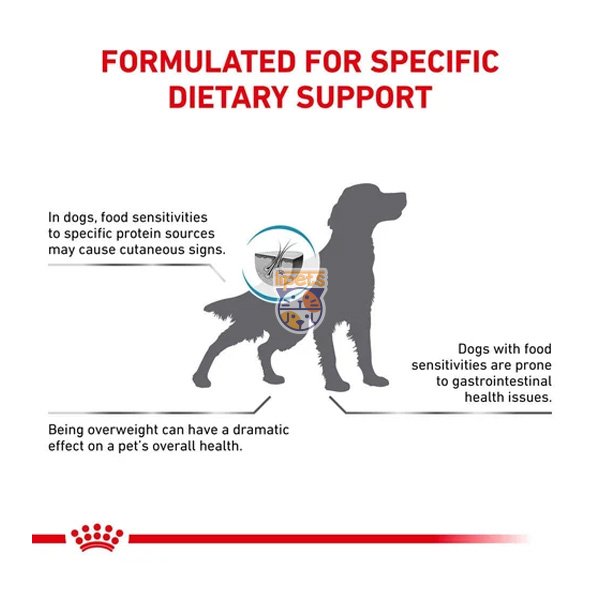 غذای خشک درمانی سگ هایپوآلرژنیک Hypoallergenic رویال کنین 2 کیلوگرم
