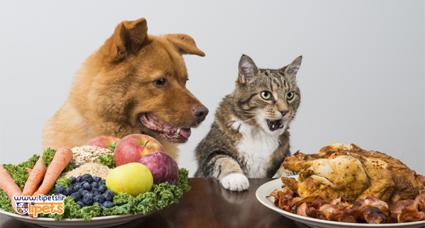 خوراکی خطرناک برای گربه سگ