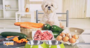 آلرژی غذایی سگ